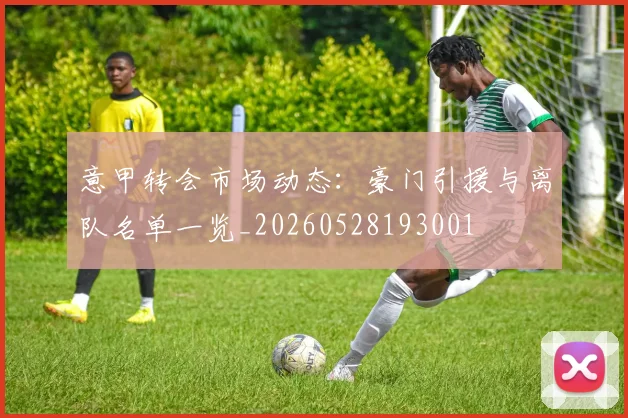 意甲转会市场动态:豪门引援与离队名单一览_20260528193001